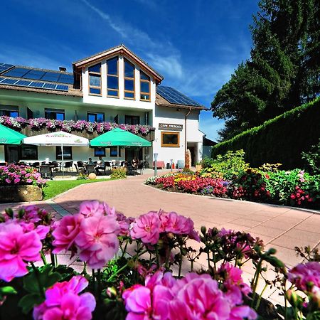 Wellness-Hotel Talblick Шемберг Екстер'єр фото